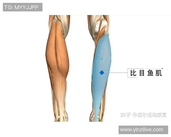 不打了！比目鱼肌拉伤重创卫冕冠军雷霆队